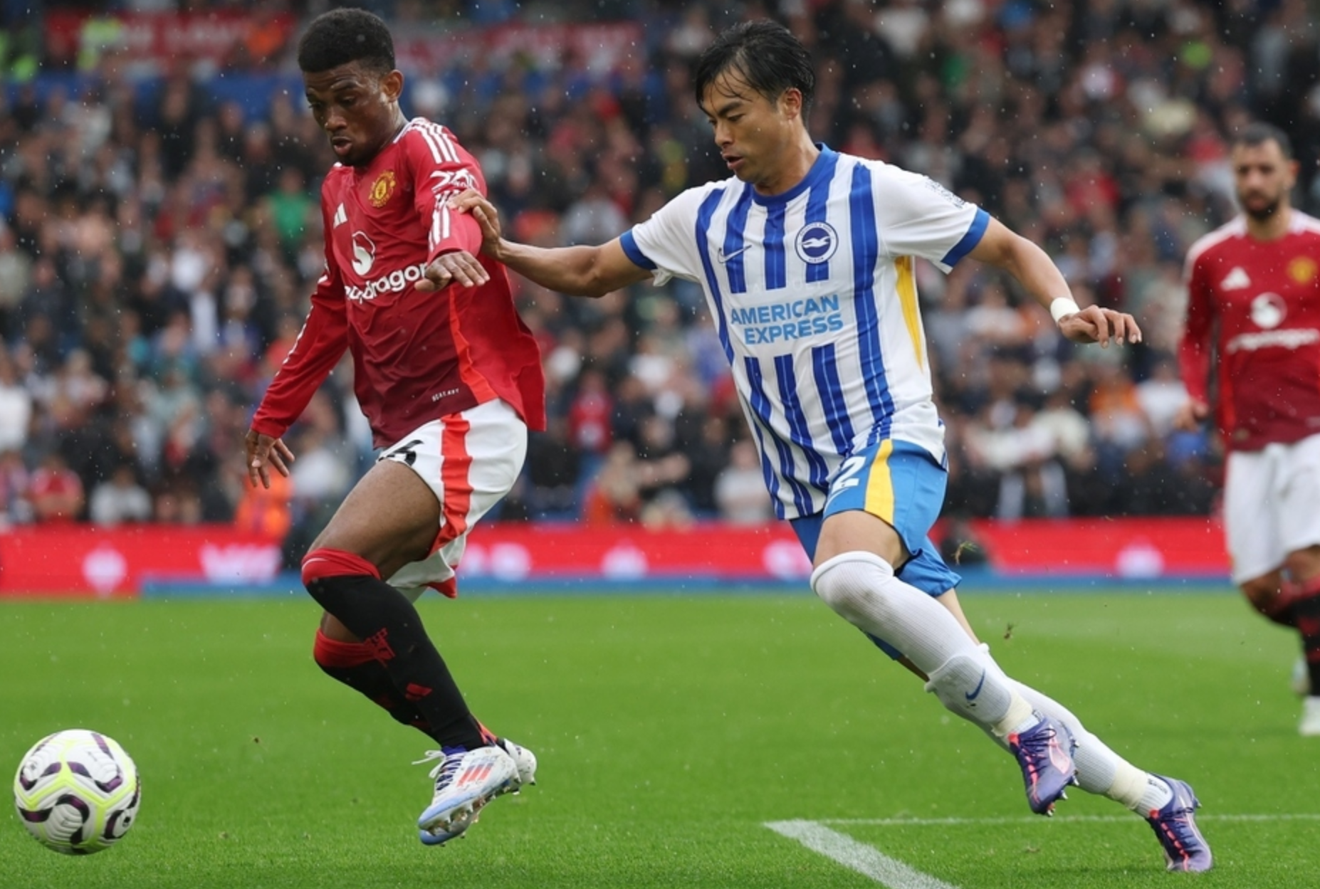 新秀带队夺冠 新秀带队夺冠